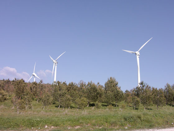5° edição do Brasil Windpower celebra a consolidação da energia eólica