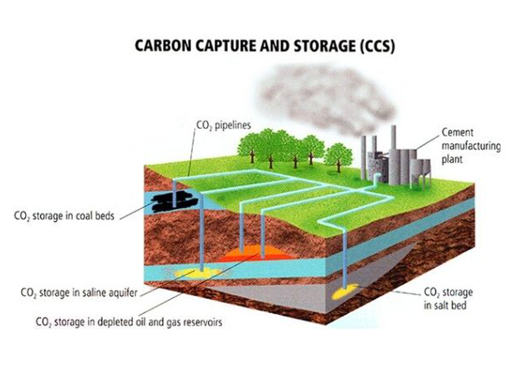 RCGI elabora proposta de projeto de lei sobre estocagem de carbono