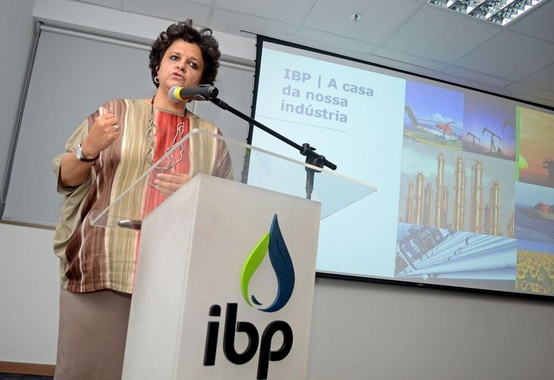 Cooperação técnica entre IBP e Ibama Cooperação técnica entre IBP e Ibama