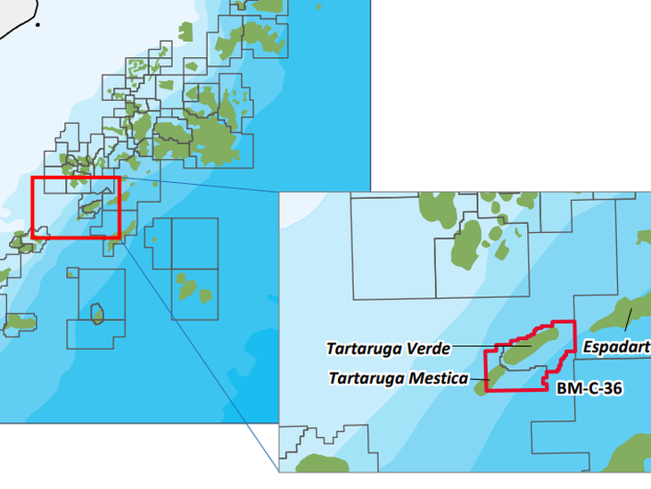 Bacia de Campos: Petrobras inicia processo de venda de 50% de Tartaruga Verde e Módulo III de Espadarte