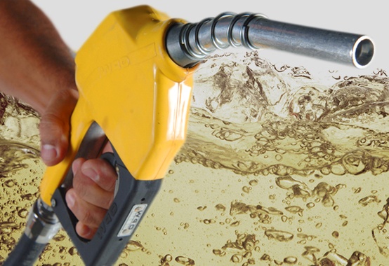BC reduz projeção para aumento do preço da gasolina e da energia elétrica BC reduz projeção para aumento do preço da gasolina e da energia elétrica