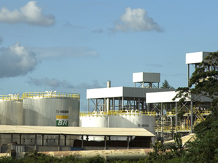 Produção de biodiesel a partir de óleo de peixe