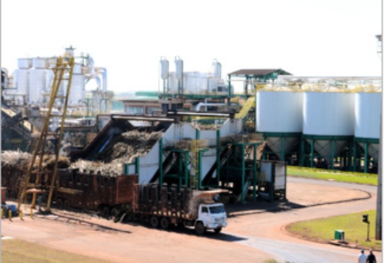 Produtores de cana garantem que não haverá desabastecimento de etanol Produtores de cana garantem que não haverá desabastecimento de etanol