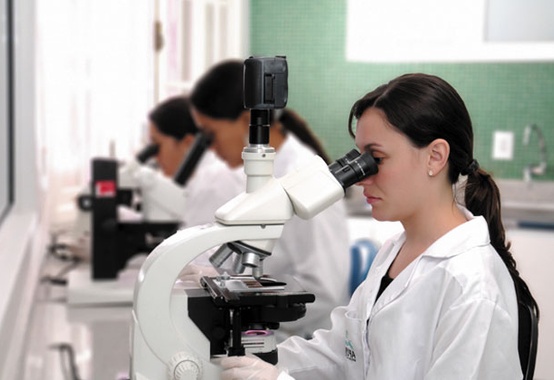 Países Baixos querem parceria em pesquisa sobre biocombustíveis Países Baixos querem parceria em pesquisa sobre biocombustíveis