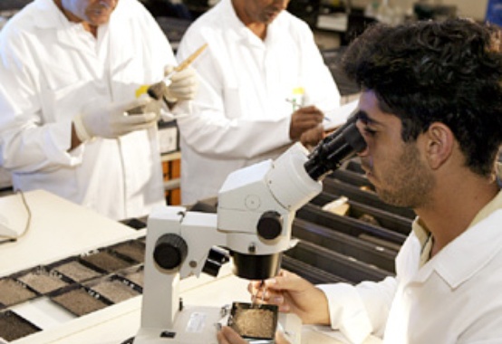 CNPq comemora 60 anos com desafio de pensar em crescimento econômico ao formar cientistas CNPq comemora 60 anos com desafio de pensar em crescimento econômico ao formar cientistas
