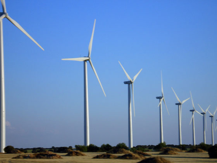Leilão contrata 479 MW de energia renovável, de fonte eólica e de biomassa
