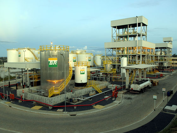 Usina da Petrobras Biocombustível triplica capacidade de refino de sebo bovino 