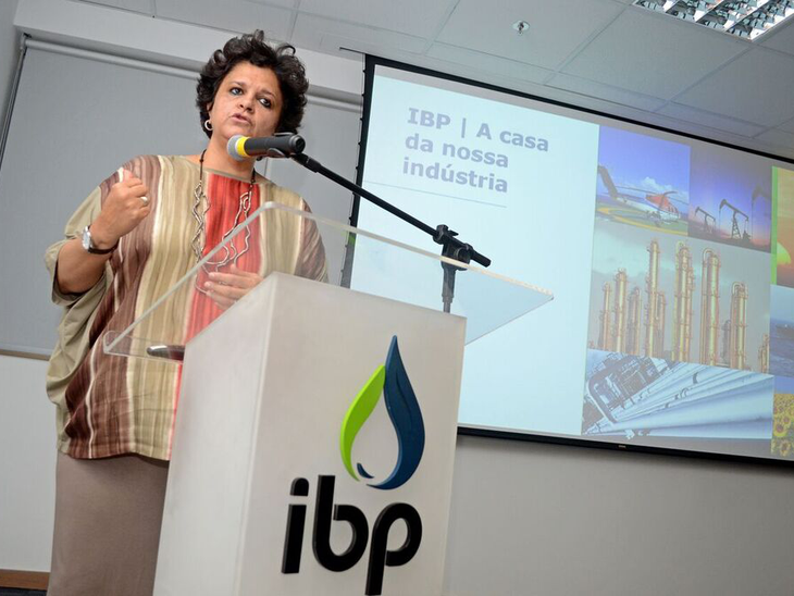 Cooperação técnica entre IBP e Ibama
