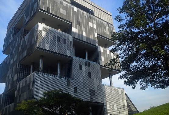 Diretoria de Estratégia, Organização e Sistema de Gestão será criada pela empresa Diretoria de Estratégia, Organização e Sistema de Gestão será criada pela empresa