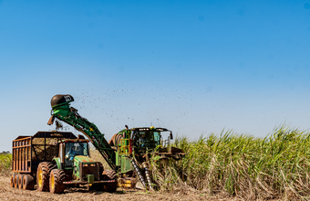 Atvos registra recordes históricos de moagem e produção de etanol em Mato Grosso do Sul