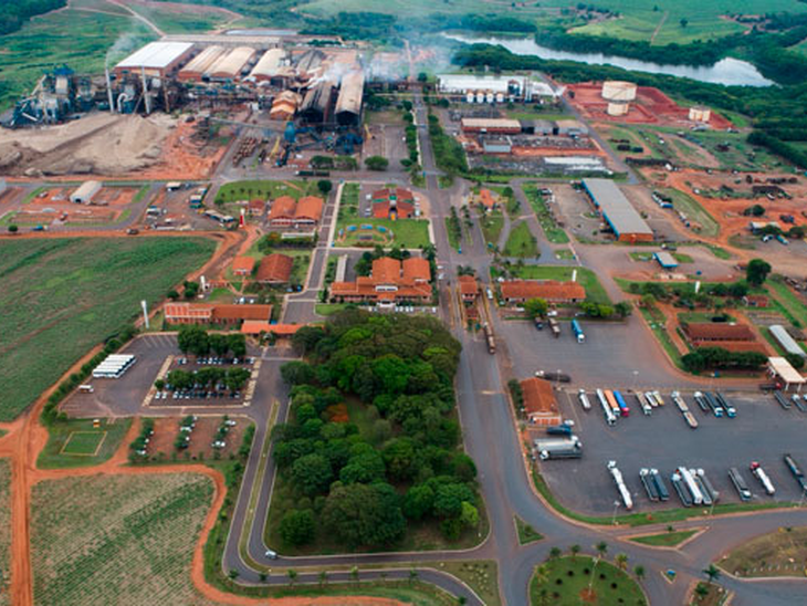 Tereos prevê crescimento de 10% na safra 23/24 e deve processar 19 milhões de toneladas de cana-de-açúcar