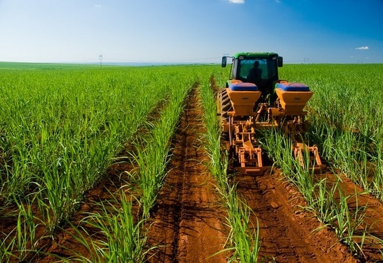 Odebrecht Agroindustrial conclui acordo para nova capitalização e renegociação de dívida Odebrecht Agroindustrial conclui acordo para nova capitalização e renegociação de dívida