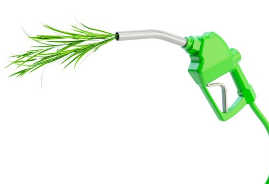 Debêntures incentivadas já somam R$ 9 bilhões em investimentos no setor de biocombustíveis Debêntures incentivadas já somam R$ 9 bilhões em investimentos no setor de biocombustíveis