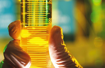 Biocombustíveis podem adicionar até R$ 403,2 bilhões ao PIB