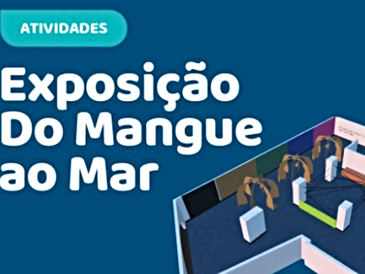 Projeto Uçá comemora 10 anos com exposição sobre manguezais no AquaRio