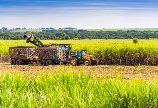 Etanol de cana produzido pelo Brasil pode ajudar Japão a cumprir metas climáticas Etanol de cana produzido pelo Brasil pode ajudar Japão a cumprir metas climáticas