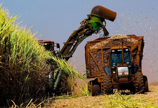 Brasil pode produzir 10 bi de litros de etanol de segunda geração até 2025, diz ONU Brasil pode produzir 10 bi de litros de etanol de segunda geração até 2025, diz ONU
