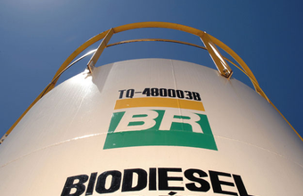 Biocombustíveis no Brasil superam OCDE em cinco vezes