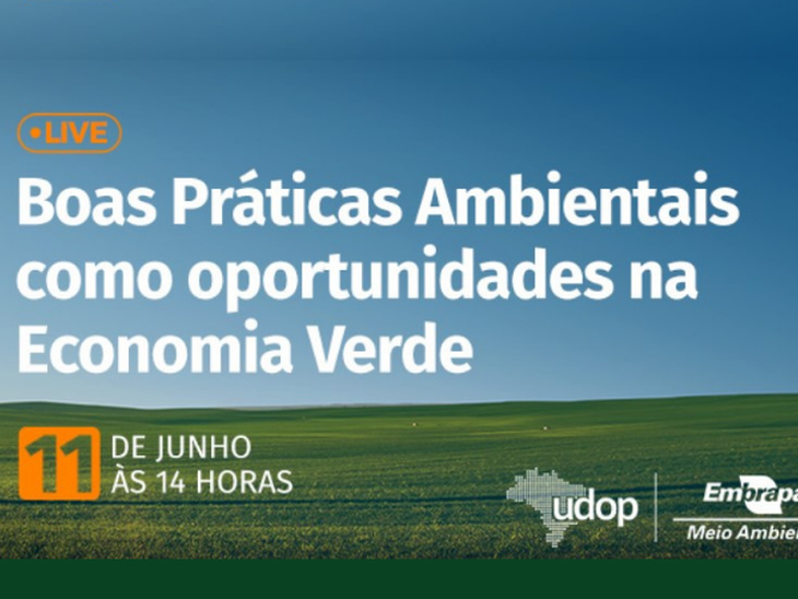 Setor sucroenergético discutirá suas boas práticas ambientais como oportunidades na economia verde