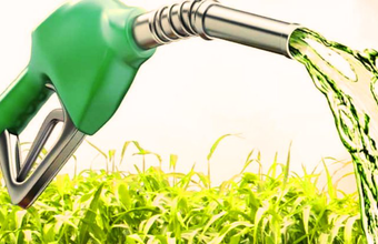 Anidro e hidratado fecham a semana em alta