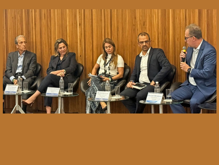 Gas Release pode atrair novos supridores e criar competição 'gás-gás', defende Abegás