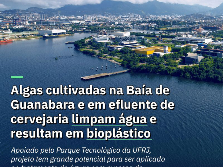 Sustentabilidade em prática: um dos projetos apoiados pelo Parque Tecnológico da UFRJ cultiva artificialmente algas na Baía de Guanabara e em efluentes de cervejaria para transformá-las em bioplásticos biodegradáveis. Essa iniciativa inovadora, liderada pela pesquisadora da Federal University of Rio de Janeiro, Anita Valle, oferece uma alternativa sustentável ao plástico descartável, podendo ser uma alternativa a plásticos de uso único que embalam canudos, palitos de dente e guardanapos, por exemplo.  As algas também atuam na descarbonização do meio ambiente e na remoção do excesso de nutrientes acumulados em ambientes aquáticos devido à atividade humana.  “Graças ao financiamento do Parque, o bioplástico não teria saído do papel e se tornado uma realidade viável para a sociedade”, destaca a pesquisadora.  Desde 2021, o programa Projetos Especiais do Parque já destinou mais de R$ 5 milhões para iniciativas de PD&I oriundas da UFRJ e alinhadas aos Objetivos de Desenvolvimento Sustentável (ODS) da ONU. Esse projeto de bioplástico promove uma bioeconomia circular, transformando resíduos em insumos para uma produção ambientalmente responsável.  🌐 Leia mais sobre essa inovação e descubra os desafios dessa tecnologia sustentável na entrevista completa: https://lnkd.in/dPwvA4ky