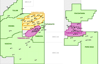OGX declara comercialidade de acumulações em Campos