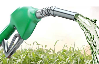 Etanol anidro recua e hidratado sobe na semana de 18 a 22 de setembro, aponta Cepea