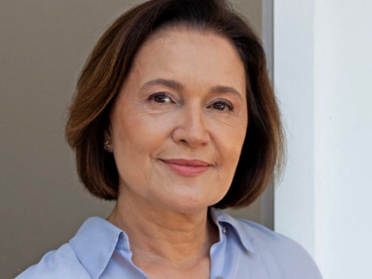 Encontro promovido pelas distribuidoras de energia elétrica, durante a COP30, em Belém, apresenta estudo e debate desafios do setor para descarbonização e transição justa