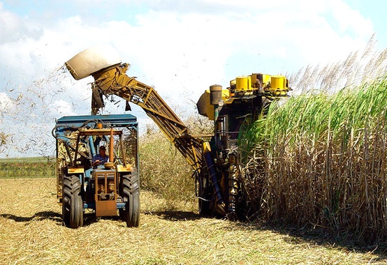 Governo lançará programa para dobrar produção de biocombustíveis Governo lançará programa para dobrar produção de biocombustíveis