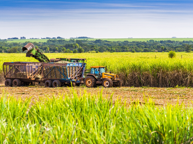 Etanol de cana produzido pelo Brasil pode ajudar Japão a cumprir metas climáticas