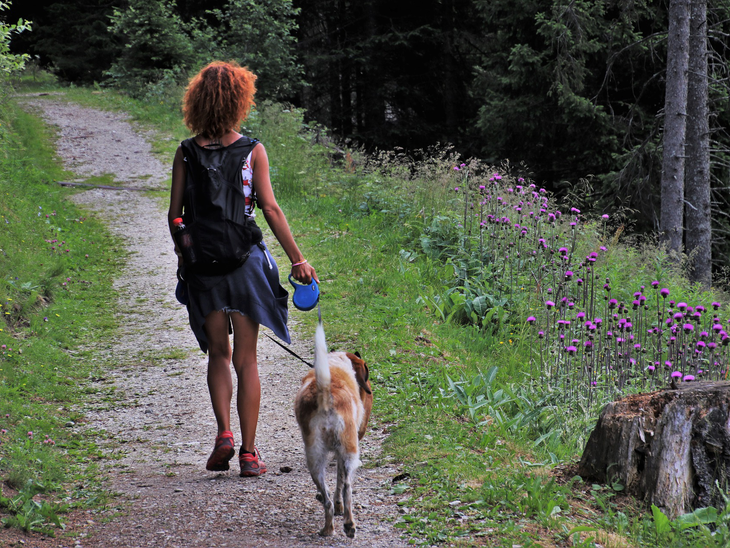 Na USP acontece nos dias 1 e 2/10 o Energy Transition Research & Innovation 2019