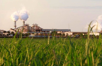 Usina São Martinho abre vagas para o Programa Estágio Administrativo