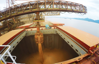 Índice de commodities tem alta de 1,84% em setembro