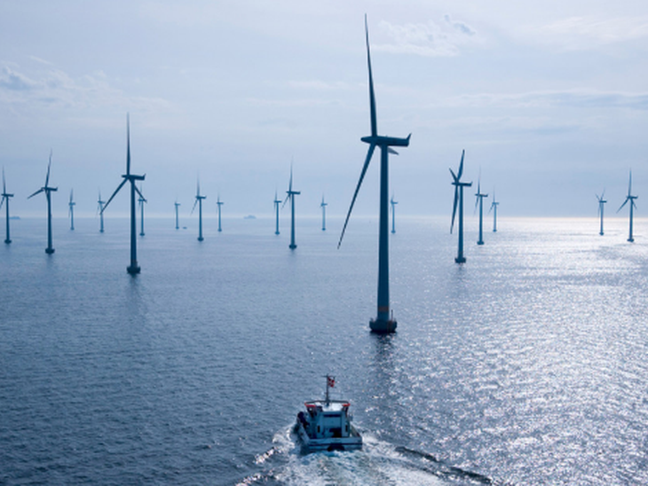 Ibama lança termo de referência padrão para complexos de energia eólica offshore