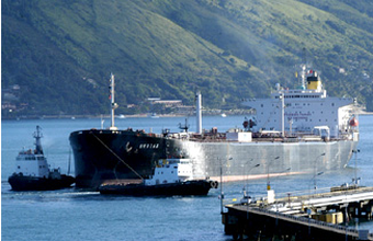 Petrobras assina contratos para afretamento de seis navios Panamax