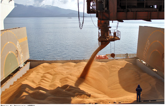 Paranaguá lidera a exportação nacional do complexo soja