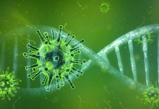 Descoberta contra covid-19 é anunciada por cientistas chineses Descoberta contra covid-19 é anunciada por cientistas chineses