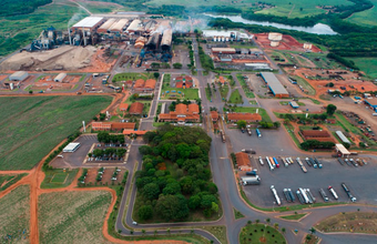 Tereos prevê crescimento de 10% na safra 23/24 e deve processar 19 milhões de toneladas de cana-de-açúcar