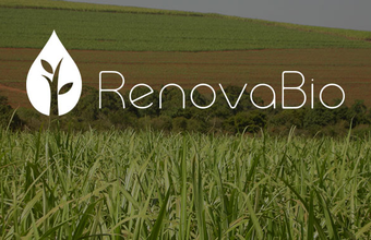 ANP aprova primeiro certificado da produção eficiente de biocombustíveis para importador de biocombustíveis