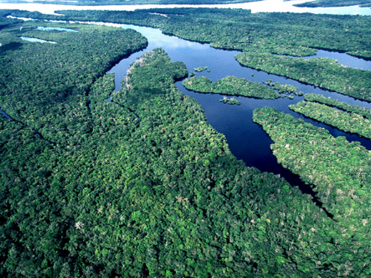 Microrganismos são os maiores emissores de carbono em águas da Amazônia