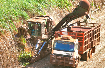 Mesmo com alta em junho, preços médios do etanol fecha 1º tri da safra 20/21 com forte queda