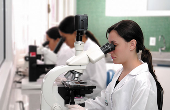 Países Baixos querem parceria em pesquisa sobre biocombustíveis