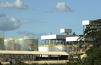 Produção de biodiesel a partir de óleo de peixe