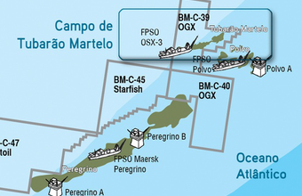 Petronas desiste da compra de parte de Tubarão Martelo