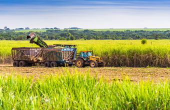 O estado de São Paulo é o maior produtor de cana e etanol e o segundo maior produtor de gás do Brasil