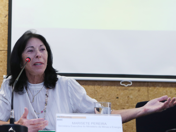 Marisete Pereira, do MME participa do Brazil Investment Forum 2019, em São Paulo