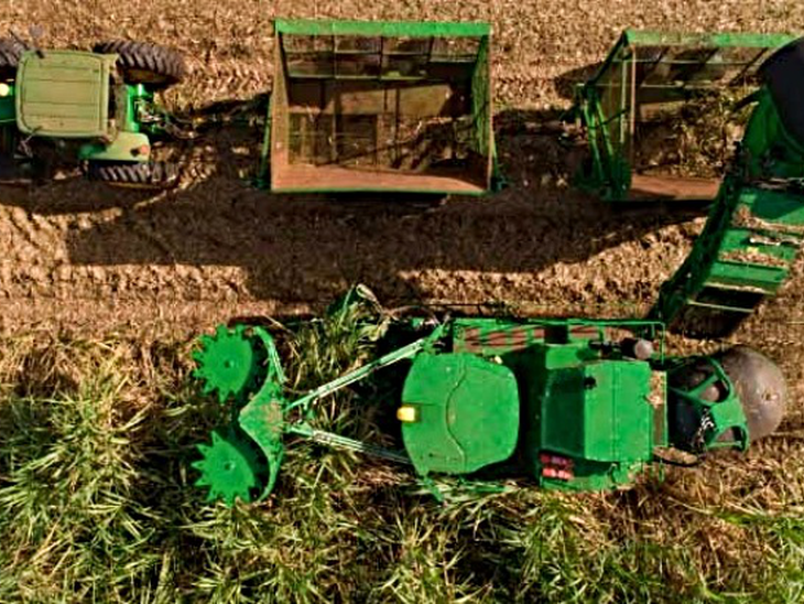 Moagem em Minas Gerais bate recorde histórico e se aproxima de 40 milhões de toneladas