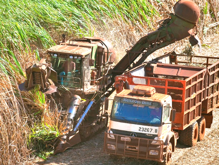 Venda total de etanol sobe 7,3% em julho; mercado cresce 10,45%  