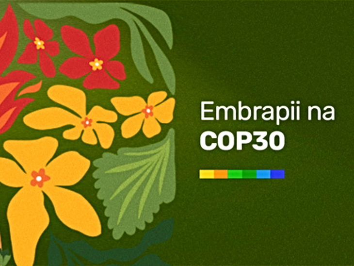 Embrapii participa de atividades sobre inovação na indústria